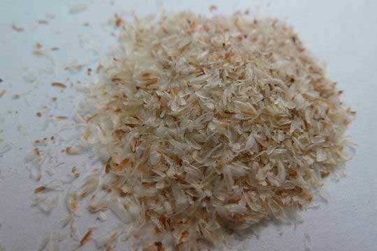 psyllium flocons