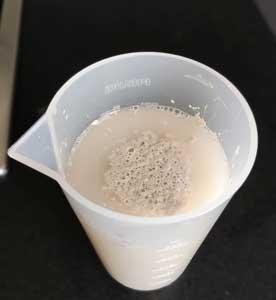 levure sèche dans le mélange eau-miel